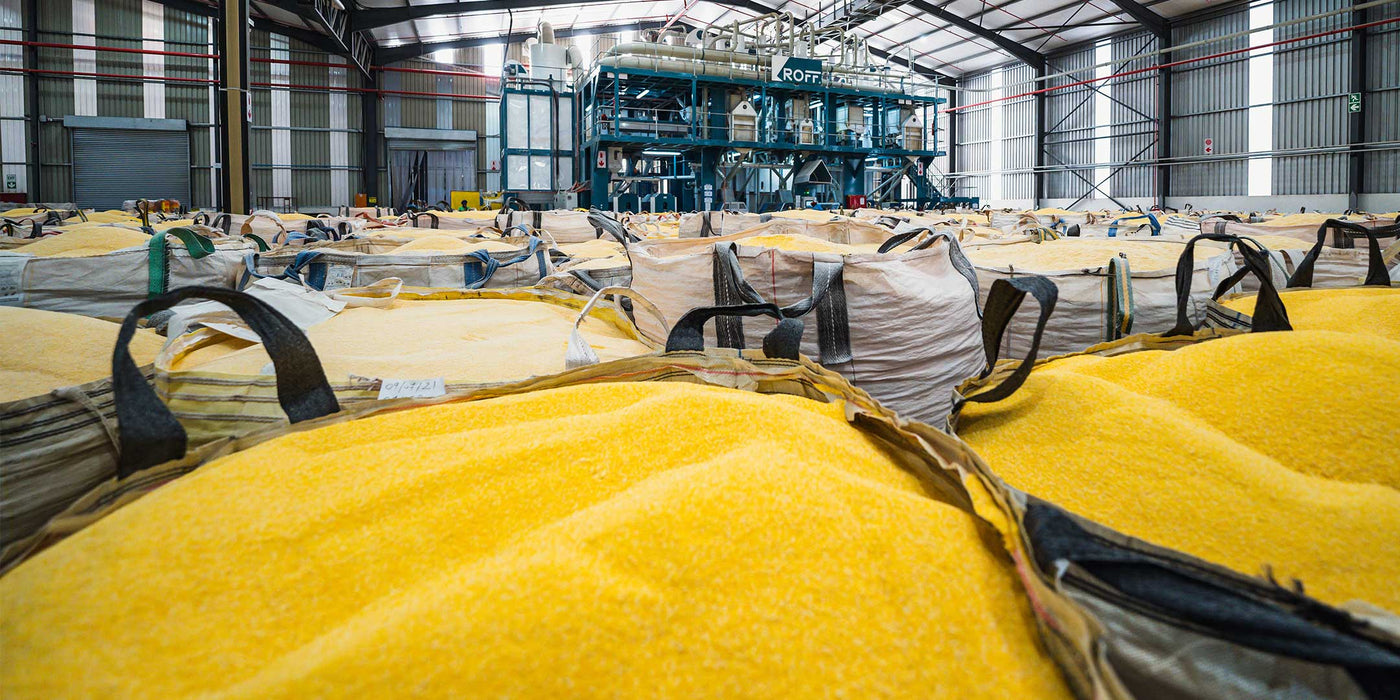 Maize processing plant